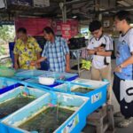 ร่วมทำบุญตามกำลังศรัทธา ด้วยการปล่อยสัตว์น้ำลงสู่ทะเลของธนาคารปูม้ากลุ่มประมงเรือเล็ก ณ วัดโกมุท
