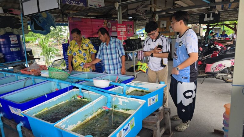 ร่วมทำบุญตามกำลังศรัทธา ด้วยการปล่อยสัตว์น้ำลงสู่ทะเลของธนาคารปูม้ากลุ่มประมงเรือเล็ก ณ วัดโกมุท