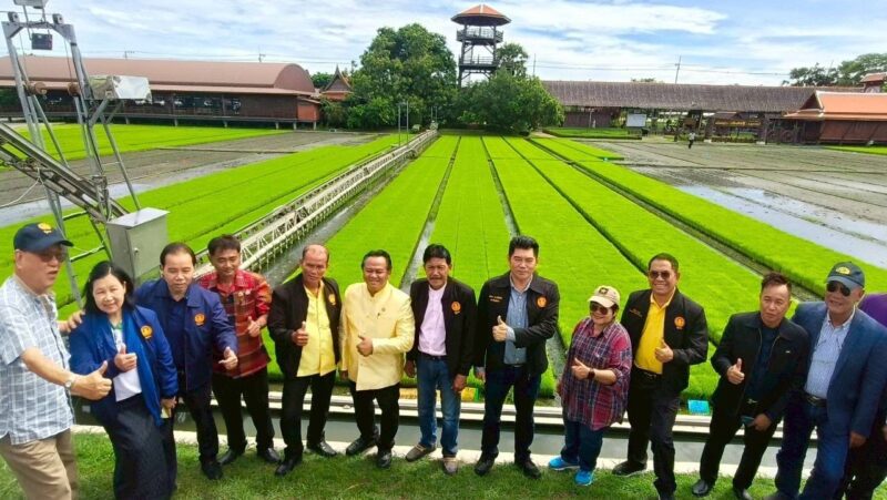 สว.หนุน”กฎหมายข้าว”พลิกโฉมชีวิตชาวนา
