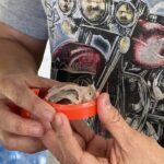 ชุมพร-เจ้าของรกแมวอึ้ง 10 ปีโตขึ้นเหมือนมีชีวิตโชว์นักข่าวหวังตีเลขเด็ดได้โชคลาภ