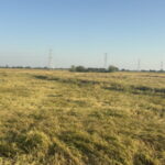 อ่างทอง – ชาวนาระดมเครื่องสูบน้ำออกนาพื้นที่นาน้ำท่วมหลายพันไร่เพื่อเก็บเกี่ยวข้าวที่กำลังออกรวงสุกงอม