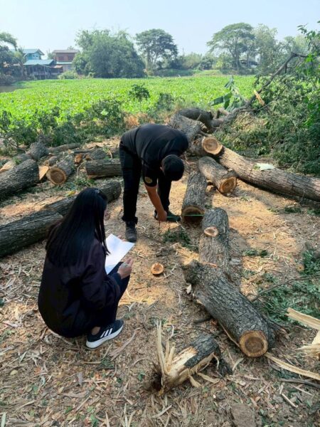 🚩 พยัคฆ์ไพร บุกจับผู้ลักลอบตัดไม้ริมลำแม่ลา อ้างใช้ทำเกษตรมานาน‼️
