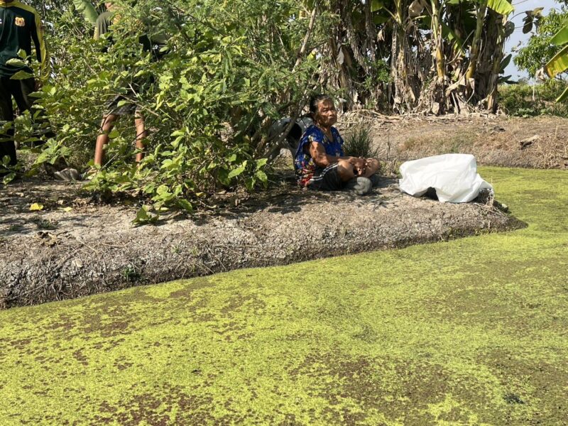 อ่างทอง – สลดเพื่อนบ้านหวังดีเห็นเด็ก1ขวบร้องเอาไปช่วยเลี้ยงก่อนหายกลายเป็นศพในร่องสวนผักหลังบ้าน