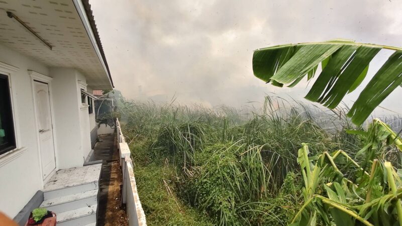 ปทุมธานี – ไฟไหม้ป่ากกนับร้อยไร่ ควันฟุ้งกระจายทำชาวบ้านผวาหนีออกจากบ้าน
