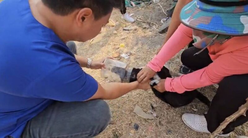 สุดเวทนาเจ้าตูบกินขนมในโหลพลาสติกหัวติดกินข้าวกินน้ำไม่ได้นานกว่า 5 วันเริ่มหมดแรง นายกเทศมนตรีเมืองอ่างศิลาพร้อมสารณสุข ลงพื้นที่ช่วยเหลือ เฝ้ากว่า 2 วันจนช่วยเหลือได้สำเร็จ