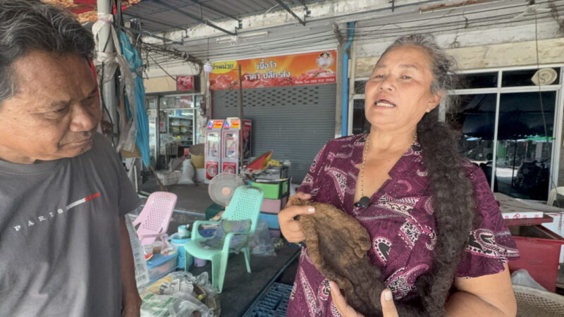 อ่างทอง – ฮือฮาหญิงวัย65ปีไว้ผมผีช่อหรือผมผีผูกถักยาวสวยงามกว่า1เมตรปลายผมเป็นรูปใบโพธิ์ เผยเคยตัดออกแล้วป่วยติดเตียง เมื่อหายดีแล้วไปบวชชีแล้วไว้ผมผีช่อมานานกว่า 10 ปี ใช้ชีวิตประจำวันเป็นปกติ สระผม 2 วันครั้ง