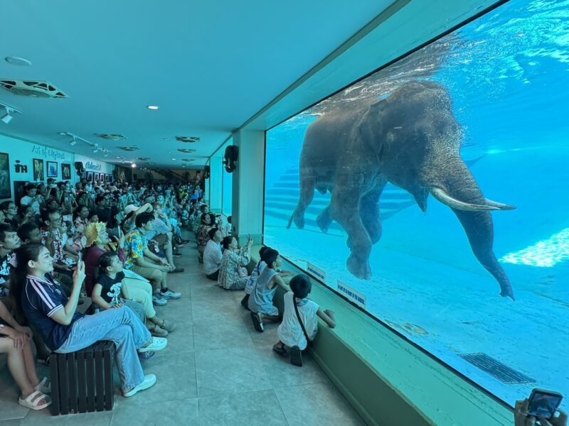 สวนสัตว์เปิดเขาเขียว ฉลองวันแรงงาน มอบส่วนลด 20% ให้ผู้ใช้แรงงาน จัดเต็มชมสัตว์ทั้งกลางวันและกลางคืน พร้อมพบสมาชิกใหม่ ลูกสล๊อต “ลิตเติ้ลแฟลช”