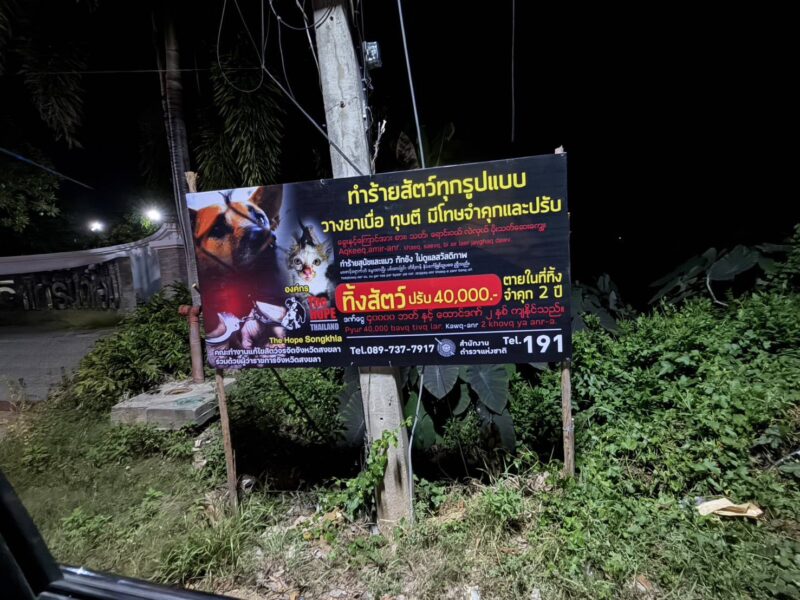 คลองแหโมเดล! เทศบาลจับมือ เดอะโฮปสงขลา และชาวบ้าน ยุติความขัดแย้ง ปั้น “สุนัขชุมชน” หลังเกิดเหตุวางยาเบื่อ