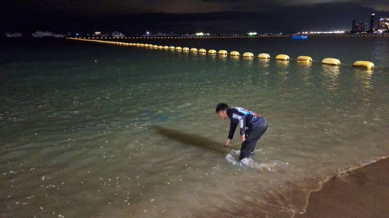 ยังพบลูกปลาหมอคางดำริมชายหาดพัทยา วอนเจ้าหน้าที่เร่งแก้ปัญหา