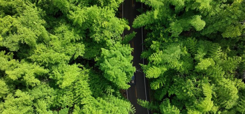 กรมป่าไม้ ชูแนวคิด “Community Forest Based Wellness” เนื่องในวันป่าชุมชนแห่งชาติ 24 พฤษภาคม เดินหน้าขับเคลื่อนป่าชุมชนกว่า 12,000 แห่ง สร้างสุข สร้างรายได้ สู่ความยั่งยืน