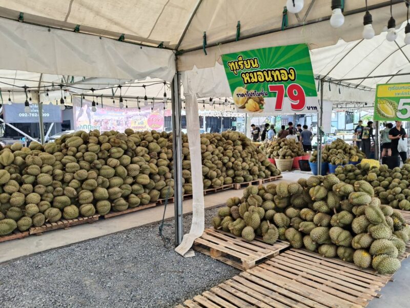 ลพบุรี – ทุเรียนลูกละ 1 บาทเรียกลูกค้าแน่นร้านสุกไม่ทันขาย ต้องจัดผลไม้อื่นมาเสริม