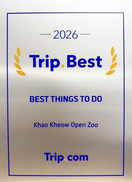 ประธานบอร์ดสวนสัตว์ฯ ส่งมอบโล่รางวัลระดับโลก “Trip.Best 2026” แก่สวนสัตว์เปิดเขาเขียว ตอกย้ำแลนด์มาร์คท่องเที่ยวเบอร์หนึ่ง