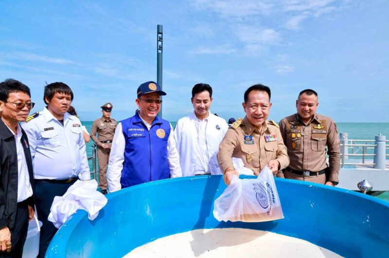 ชลบุรีจัดพิธีปล่อยพันธุ์สัตว์น้ำเฉลิมพระเกียรติฯ สมเด็จพระนางเจ้าฯพระบรมราชินีปล่อยกุ้งทะเล 2 แสนตัว ต่อยอดความสำเร็จฟื้นฟูทรัพยากรทางทะเล