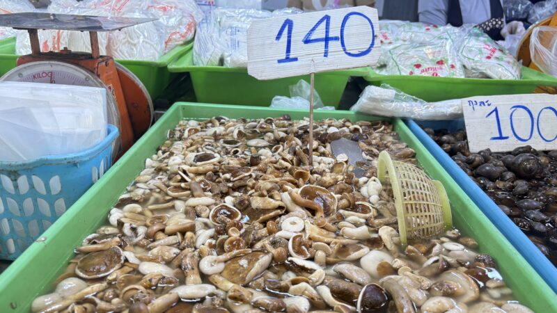 ปทุมธานี สี่มุมเมืองชวนช้อปของป่าหน้าฝน ชูวัตถุดิบพื้นบ้านใหญ่สุด