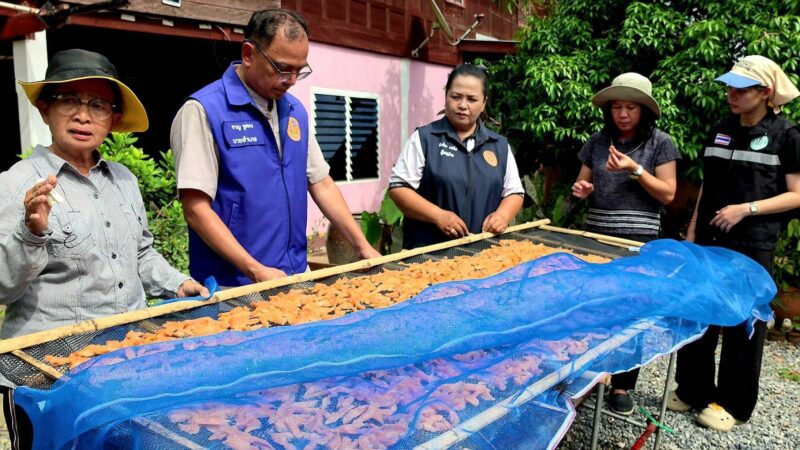 จังหวัดลพบุรี – พร้อมจำหน่ายกระท้อนหวานของดีเมืองลพบุรี