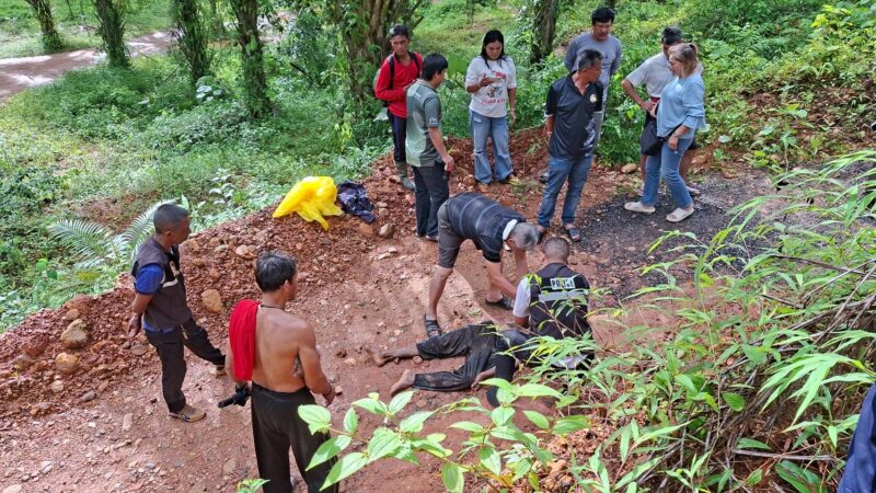 พังงา-สลด ช้างท่องเที่ยวคลุ้มคลั่งทำร้ายควาญดับ 1
