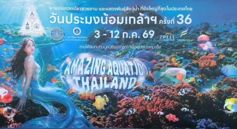 ปทุมธานี – ยิ่งใหญ่ที่สุดในประเทศ แถลงข่าวจัดงาน วันประมงน้อมเกล้าฯ ครั้งที่ 36 ยกทัพสัตว์น้ำสุดอลังการภายใต้ธีม Amazing Aquatic Thailand
