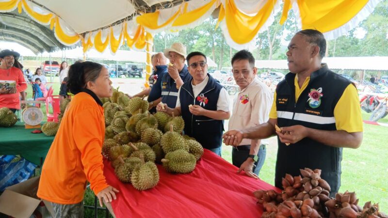 ชุมพรเดือด-โดดเนินทะลุฟ้า! ลุยโคลนแหวกนรก! ‘300 สิงห์นักบิด’ ทั่วทิศ ท้าชิง 55 กม. ​‘ส.ส.กิตติศักดิ์’ เปิดงานแข่ง สะเทือนป่าปาล์มหมดสัมปทาน คืนที่ทำกิน-ผุดอ่างยักษ์แก้แล้งยั่งยืน!