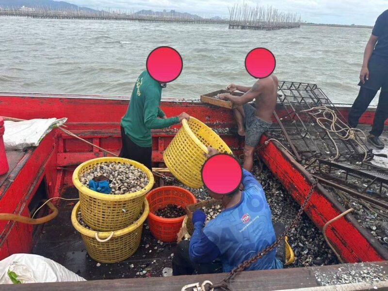 กองตรวจการประมงชลบุรีจับเรือคราดหอยผิด กม. กลางทะเล