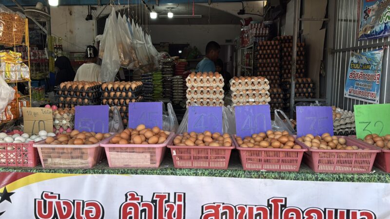 ร้านค้าส่งไข่ไก่รายใหญ่โคกเมา-หาดใหญ่ ประกาศตรึงราคาเดิม 3 วัน ช่วยลดภาระค่าครองชีพ ย้ำชัด “ต้นทุนยังไม่มา ก็ยังไม่ขึ้น”