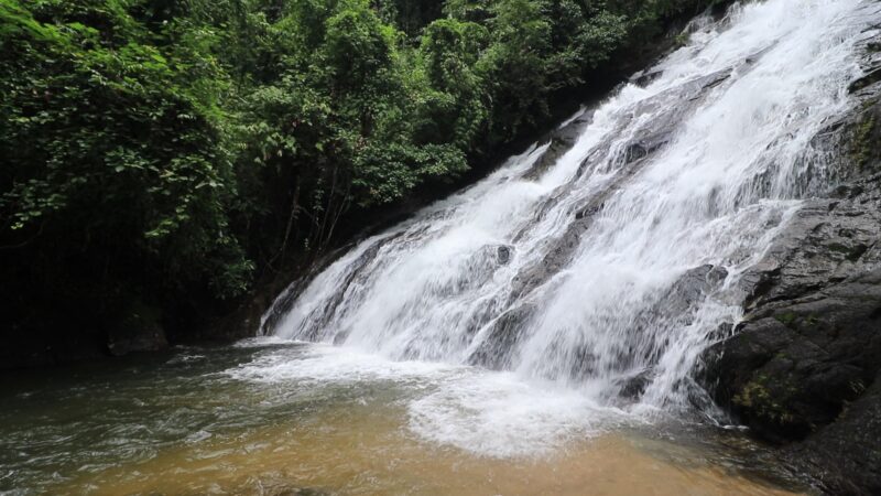 พังงา- สวยงาม ชวนเที่ยวหน้าฝน เดินชมเส้นทางศึกษาธรรมชาติสู่น้ำตกโตนไพร น้ำตกงามกลางป่าดิบชื้น