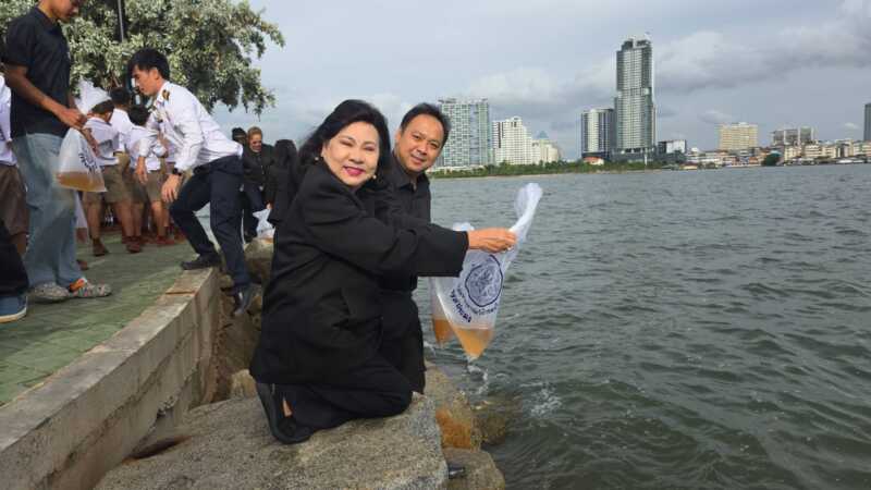 สำนักงานประมงจังหวัดชลบุรี เทศบาลเมืองศรีราชา และจังหวัดชลบุรี ร่วมปล่อยพันธุ์สัตว์น้ำ เนื่องในวันเฉลิมพระชนมพรรษา สมเด็จพระนางเจ้าสิริกิติ์ พระบรมราชินีนาถ พระบรมราชชนนีพันปีหลวง