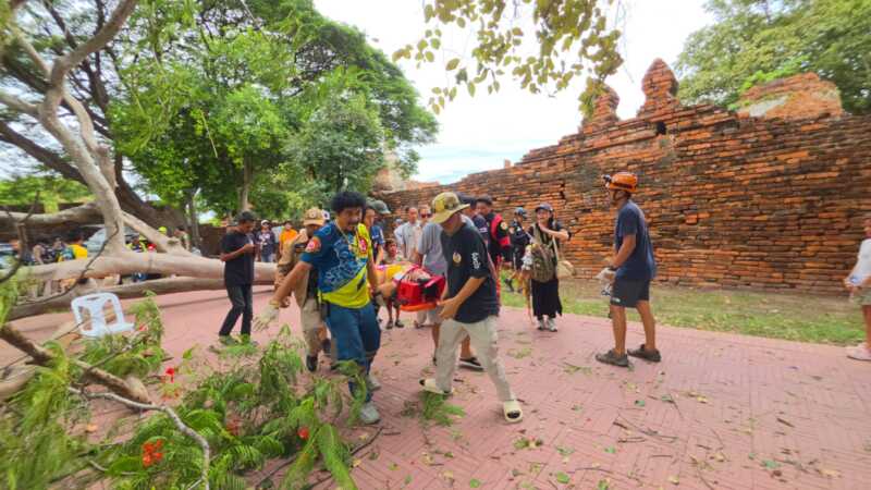 ระทึกกลางอุทยานประวัติศาสตร์ฯ ต้นไม้ขนาดใหญ่หักโค่นทับนักท่องเที่ยวชาวสเปน เจ็บ 4 ราย เจ้าหน้าที่เร่งช่วยเหลือผู้ว่าฯ อยุธยา สั่งดูแลนักท่องเที่ยวสเปนเหตุต้นไม้ล้มทับ เอ็กซเรย์ต้นไม้โบราณสถานยกเมือง