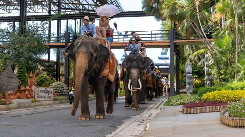 สำนักข่าวระดับโลก AP กล่าวถึง “สวนนงนุชพัทยา” สะท้อนภาพใหม่พัทยาสู่ Family Destination