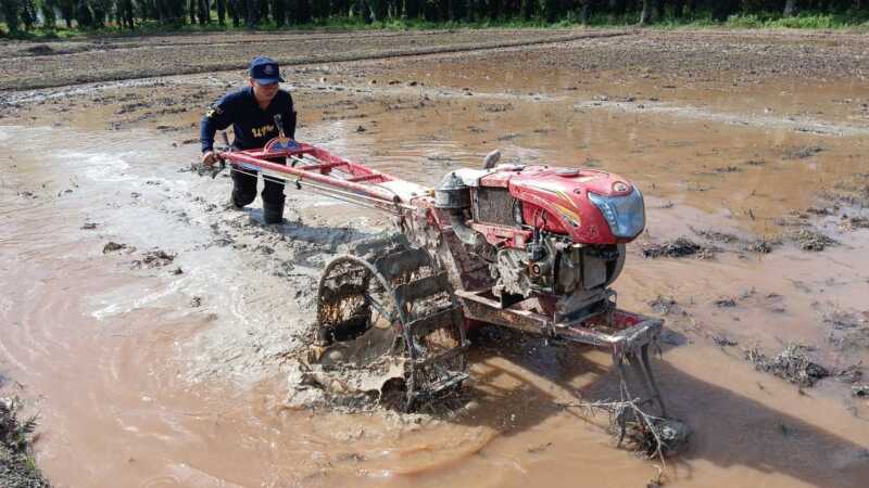 ​ปลุกตำนาน “ตะวันอ้อมข้าว”! นทพ. อุ้มชาวนาชุมพร พลิกผืนนา 50 ไร่บ้านสามล้าน เป็น “จุดเช็กอินแห่งใหม่” สายแคมป์-ธรรมชาติต้องมา!