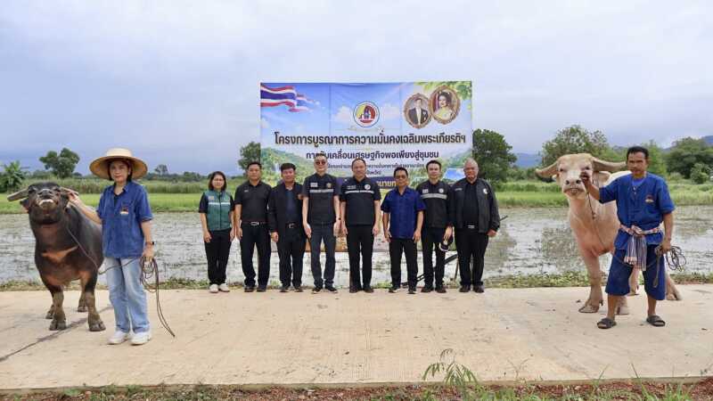 นครนายก – กอ.รมน.นครนายก จัดฝึกไถนาด้วยกระบือ สืบสานเศรษฐกิจพอเพียง ส่งต่อภูมิปัญญาจากรุ่นสู่รุ่น