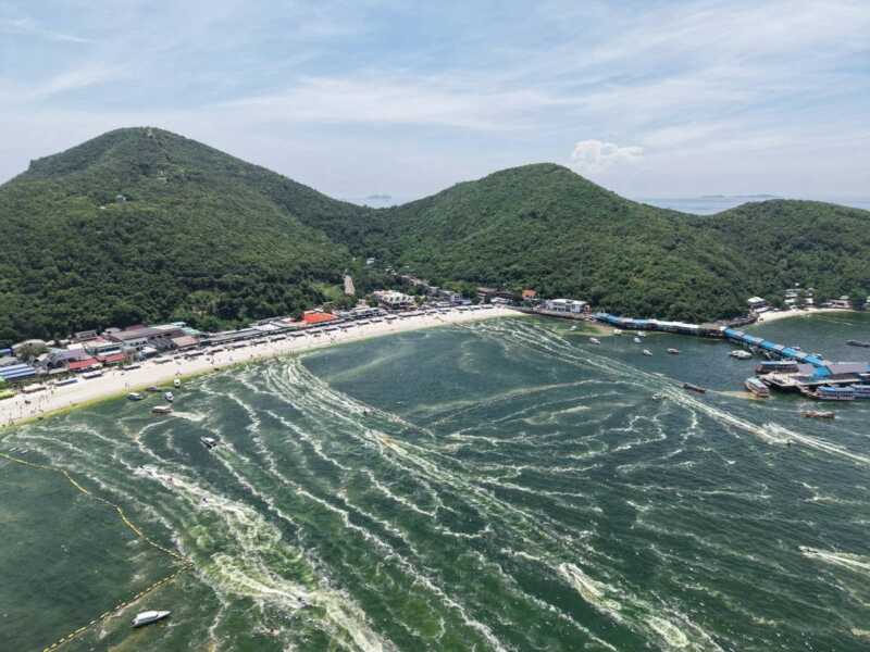 ทะเลเกาะล้านเป็นสีเขียว นทท.แปลกใจ คาด “แพลงก์ตอนบลูม” หลังฝนถล่มพัทยา น้ำจืดไหลลงทะเลจำนวนมาก