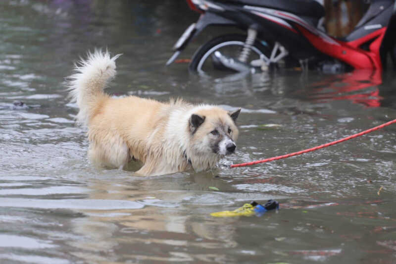 สมุทรปราการยังวิกฤต ฝนตกต่อเนื่อง น้ำท่วมหลายพื้นที่ ชาวบ้านเร่งขนของหนีน้ำ แห่ตุนของร้านสะดวกซื้อ หวั่นระดับน้ำเพิ่มสูง