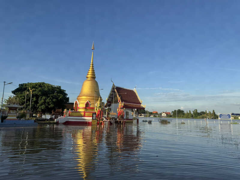 ปทุมธานี – วัดไก่เตี้ยอ่วมน้ำทะลักคุ้งเจ้าพระยาท่วม70 ซม.พระ-เณรพายโฟมเร่งอพยพวัวควายหนีตายขึ้นโบสถ์