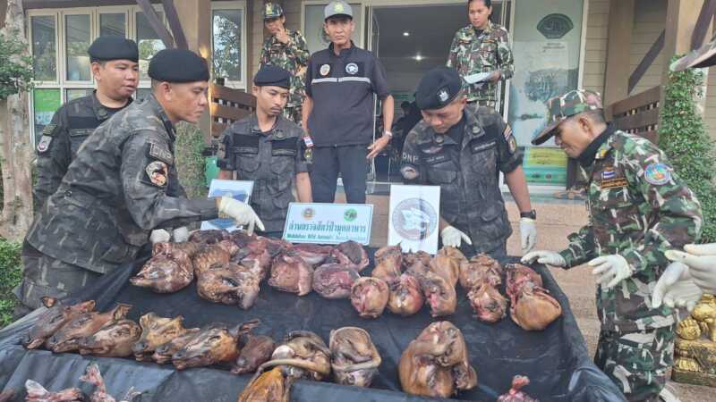 มุกดาหาร – สปป 2 สนธิกำลังจับกุม 2 ผัวเมียลักลอบขายสัตว์ป่าคุ้มครองทางออนไลน์
