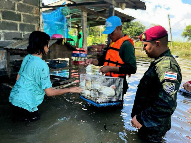 จังหวัดลพบุรี – ด่วนทหารเร่งช่วยประชาชนขนของหนีน้ำหลังเขื่อนเจ้าพระยาเพิ่มการระบายลงคลองชัยนาทป่าสัก
