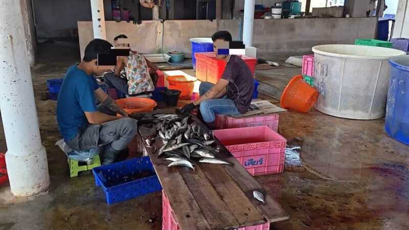 จัดหางานประจวบฯ บุกตรวจสถานประกอบการทับสะแก พบแรงงานเมียนมา 3 ราย ทำงานไม่มีใบอนุญาต