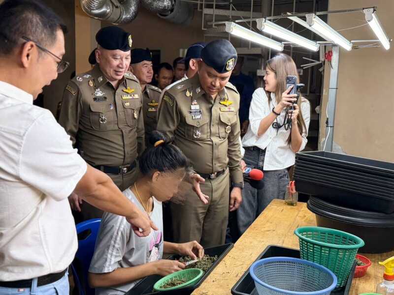 “พล.ต.ท.นพศิลป์” บุกจับ “ต่างด้าว” ลักลอบกัญชากระจายส่งในพื้นที่กรุงเทพ กว่า 5 ตันภายในบ้านหรูย่าน คู้บอน 27 เบื้องต้นตำรวจเร่งขยายผลเเหล่งที่มาและผู้เกี่ยวข้องทั้งหมด