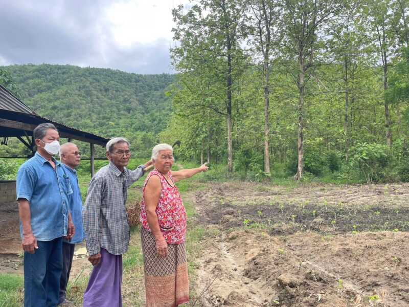 ปลูกป่าตามโครงการรัฐกว่า 30 ปี แต่ยังขายไม้ไม่ได้! “เรืองเดช” วอนรัฐบาล–กรมป่าไม้ เร่งปลดล็อกมาตรา 11 ช่วยเกษตรกรมีทางทำกิน