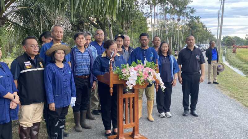 ศูนย์ศึกษาการพัฒนาพิกุลทองฯ สืบสานพระราชดำริ จัดกิจกรรมเกี่ยวข้าวโครงการผลิตเมล็ดพันธุ์สำรองเพื่อช่วยเหลือเกษตรกรยามวิกฤติ มุ่งสร้างความมั่นคงทางอาหาร เตรียมพร้อมรับมือภัยพิบัติ พร้อมส่งต่อเมล็ดพันธุ์คุณภาพให้เกษตรกรฟื้นฟูอาชีพและเพาะปลูกได้อย่างยั่งยืน