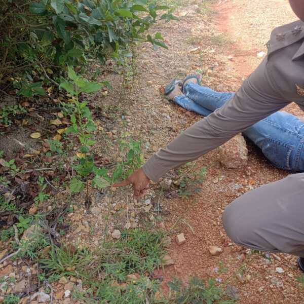 พบศพชาย 29 ปี ถูกยิงเข้าศรีษะเสียชีวิตริมถนน หลังเบี้ยวค่ายาเสพติด